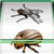 5 Reel Insect Slots mit 1644.00 Punkten