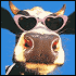 images/avatars/avatar-112.gif