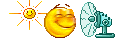 smilie